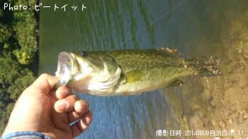 �֥�å��Х�