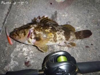 �����Υ���Х�