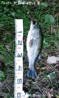 ¥Ö¥é¥Ã¥¯¥Ð¥¹