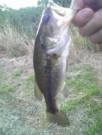 �֥�å��Х�