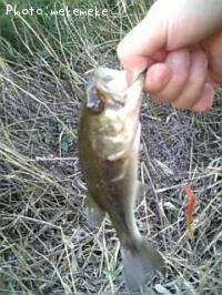 �֥�å��Х�