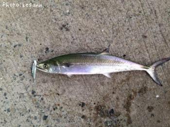 �����Х�