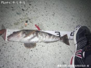 �����ʥ�