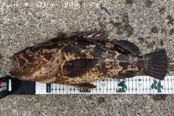 �����Υ���Х�