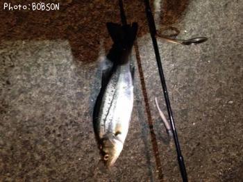 �����Х�