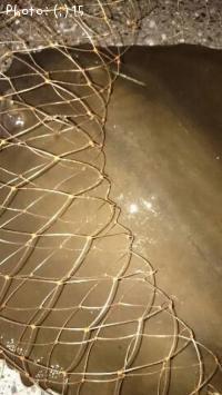 ¤¢¤ë°ÕÌ£¥Õ¥é¥Ã¥È