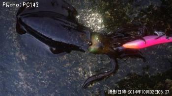 �����ꥤ��