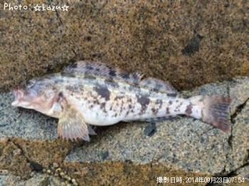 �����ʥ�