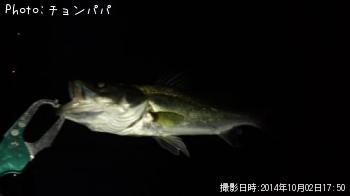 �����Х�