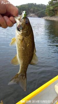 ���⡼��ޥ����Х�