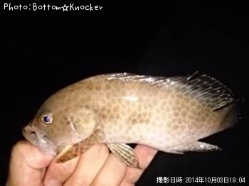 �������ϥ�