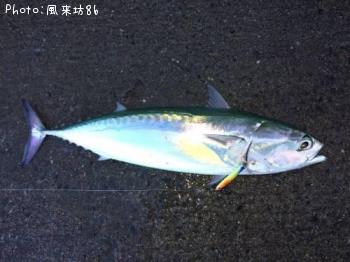 ���쥽����