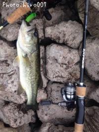 �֥�å��Х�