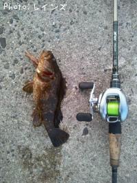 �����Υ���Х�