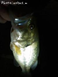 �֥�å��Х�