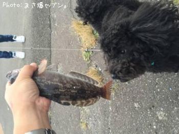 �����ʥ�