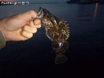 ¥¿¥±¥Î¥³¥á¥Ð¥ë