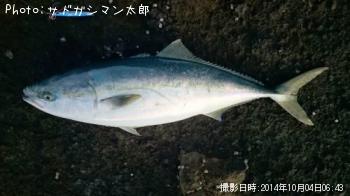 ��饵