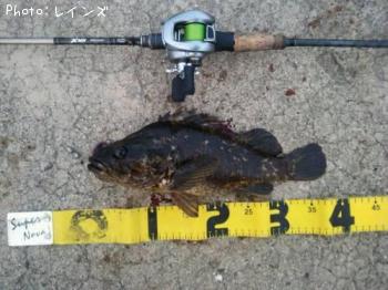 �����Υ���Х�