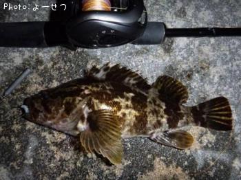 �����Υ���Х�