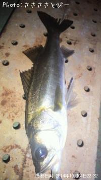 �����Х���