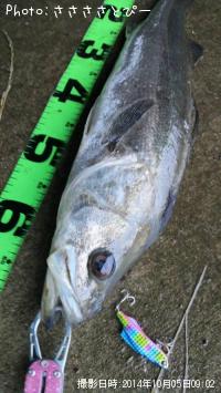 �����Х���