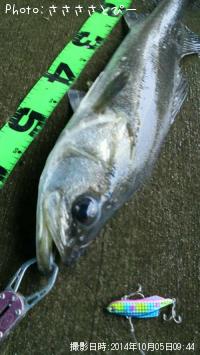 �����Х���