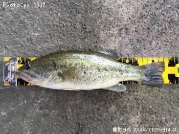 �֥�å��Х�