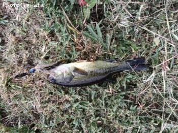 �֥�å��Х�