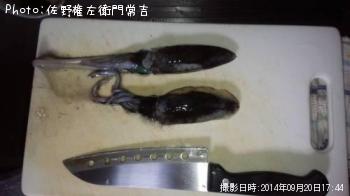 �����ꥤ��