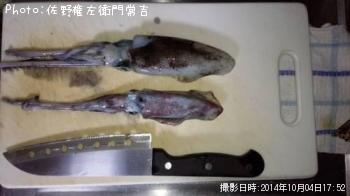 �����ꥤ��