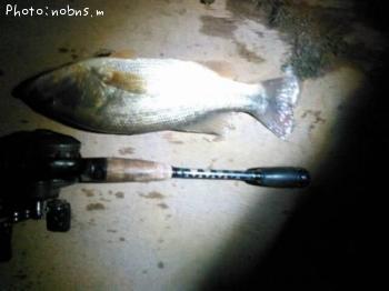 �֥�å��Х�