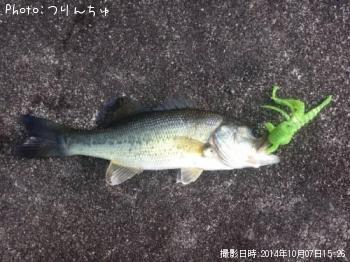 ¥Ö¥é¥Ã¥¯¥Ð¥¹