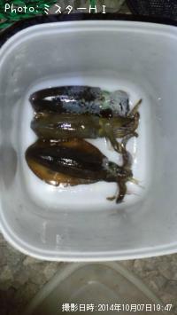 �����ꥤ��