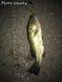 ¥Ö¥é¥Ã¥¯¥Ð¥¹