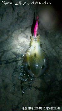 ¥¢¥ª¥ê¥¤¥«