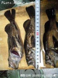 ¥¿¥±¥Î¥³¥á¥Ð¥ë