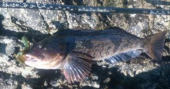 �����ʥ�