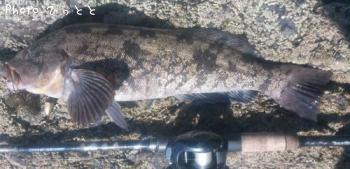 �����ʥ�