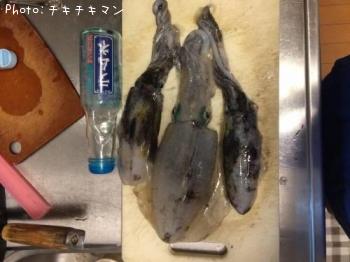 �����ꥤ��