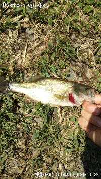 �֥�å��Х�