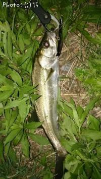 �����Х�