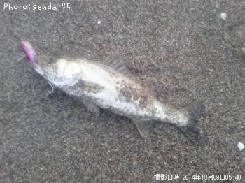 �����Х�