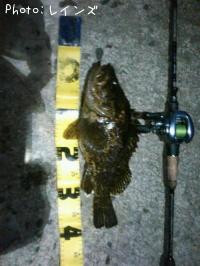 ¥¿¥±¥Î¥³¥á¥Ð¥ë