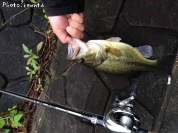 �֥�å��Х�