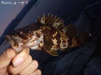 ¥¿¥±¥Î¥³¥á¥Ð¥ë