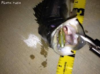 �����Х�