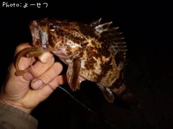 ¥¿¥±¥Î¥³¥á¥Ð¥ë