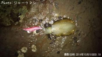 �����ꥤ��