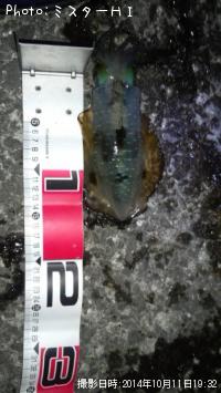 �����ꥤ��